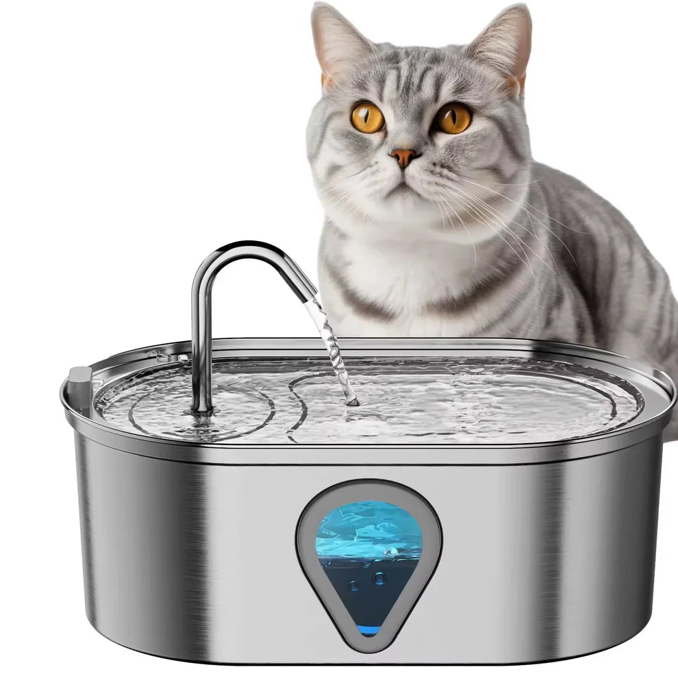 Give Your Cat Years More Healthy Life With Pooky™